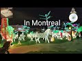 Festilumi Light Show In Montreal 2025 Light Festival 2025 Trending Lights Chitkala Foundation Festilumi Light Show In Montreal 2025 Light Festival 2025 Trending Lights Chitkala Foundation