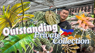 Akses Eksklusif: Obsesi Tanaman Langka Kolektor Anonim 🇵🇭! Tanaman tropis dan gurun.