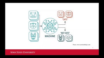 Simple plant image segmentation by neutral network