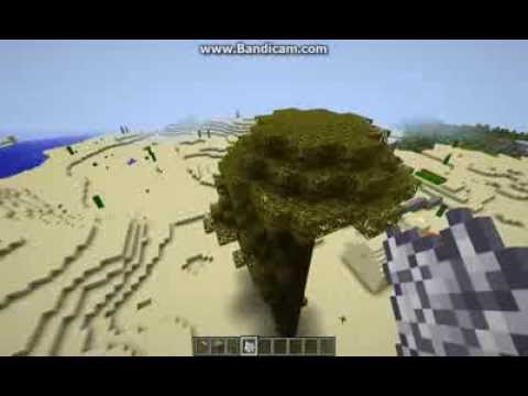 Wideo: Jak Wyhodować Drzewo W Minecrafcie