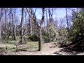 AR Drone 2.0 first flight - USB recording.