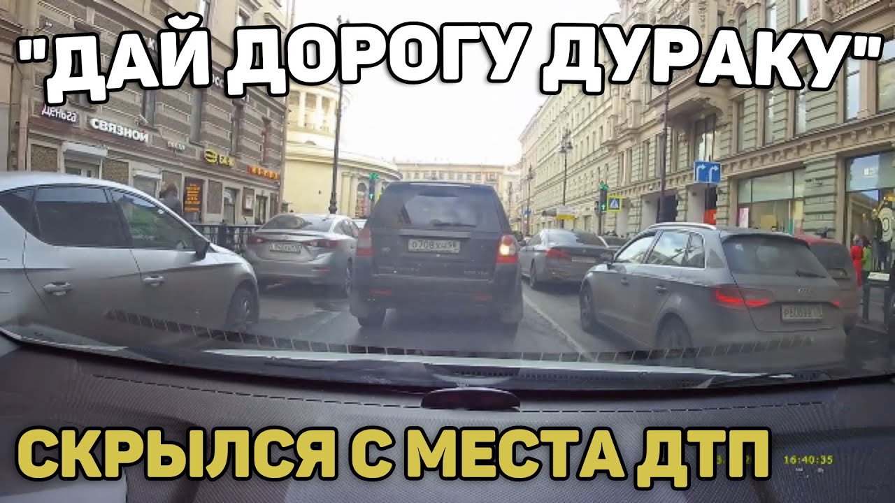 Воробей дураки на дорогах