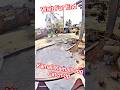 Aasame Boy Dog Catching Fail #dog #streetdogrescue #ytviral #pets #dogshorts #shorts #shortsfeed