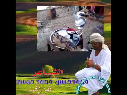 الشاعر محمد حسين محمد موسي 