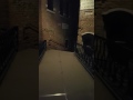 Lost In Venice (Part 2)
