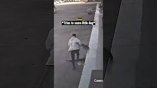 Karen Tries To Scare Little Dog and Gets Instant Karma