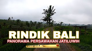 RINDIK BALI MENYEJUKAN HATI | PEMANDANGAN INDAH PERSAWAHAN JATILUWIH BALI