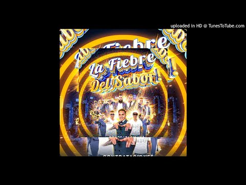 La Fiebre Del