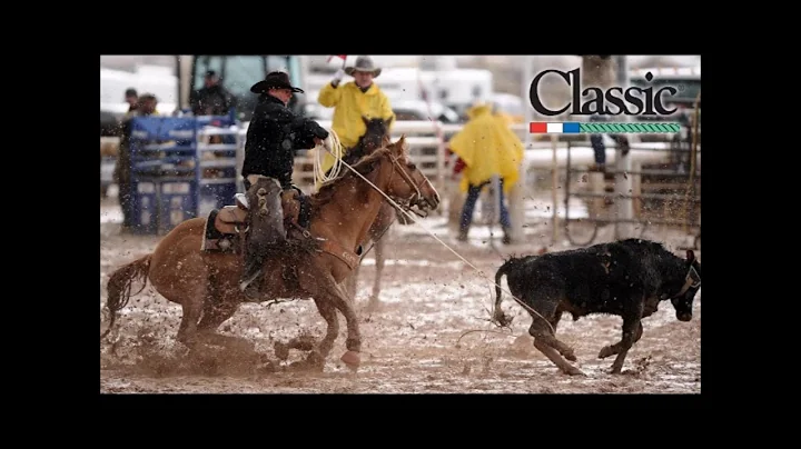 T4 Stanley Johnston Team Roping Horses