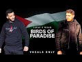 Firas x muad  birds of paradise vocals only