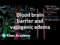 Blood brain barrier and vasogenic edema | Circulatory System and Disease | NCLEX-RN | Khan Academy