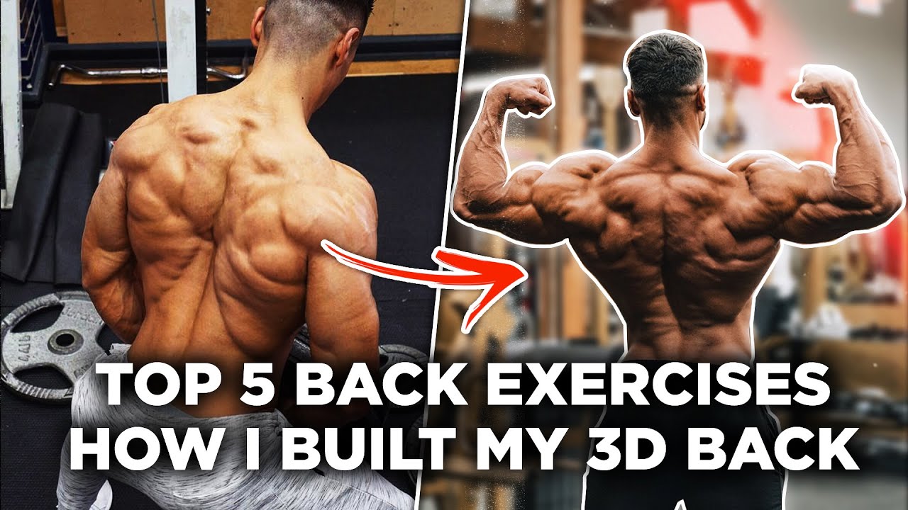elevation Konfrontere kandidatskole HOW I BUILT MY 3D BACK! - 5 Best Back Exercises! - YouTube