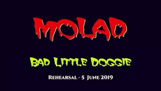 Molad (band)- Bad Little Doggie (5 June 2019) 4K