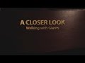 876 - Walking with Giants / A Closer Look - Randy Skeete