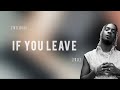 Young Jonn - If You Leave [lyrics]