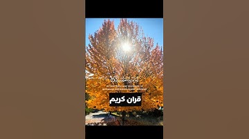 تلاوه قرانيه بصوت جميل #اكسبلور #المصحف #دويتو #متابعه_ولايك_فضلا_وليس_امرآ #قران_كريم #تيك_توك
