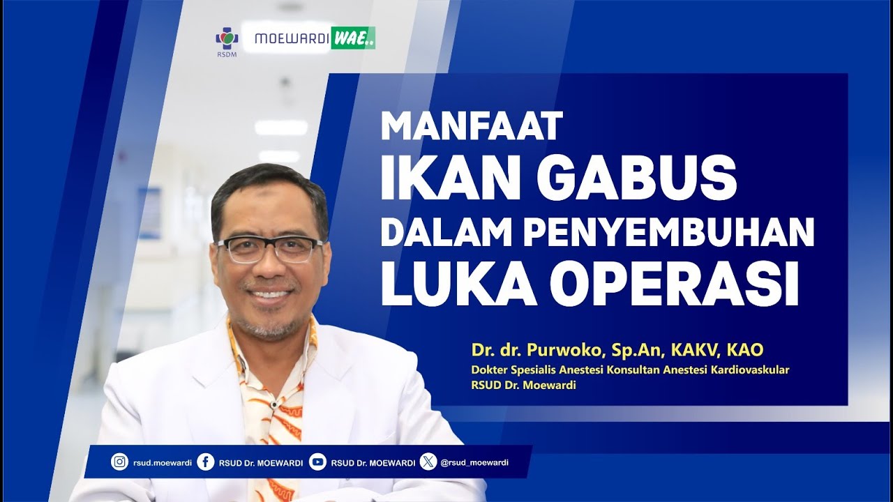 Manfaat Ikan Gabus Dalam Penyembuhan Luka Operasi