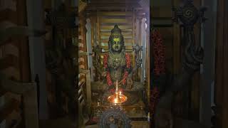 Kanakadhara Stotram | AadiShankaracharya recited by Sreejith Nampoothiri  #kanakadhara #mahalakshmi