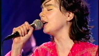 Video thumbnail of "BJORK - Bachelorette+Joga - NPA LIVE 1998"