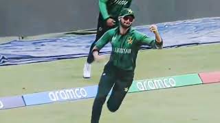 The Catch: Babar Azam ne boundary rope ke paas ek unchi jump lagayi aur ball ko hawa mein pakda screenshot 4