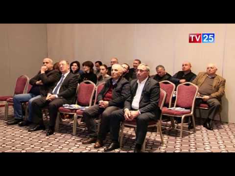 დემოკრატიის ინსტიტუტის ანგარიში
