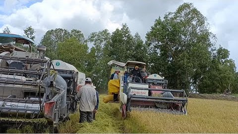 máy cắt 102 cắt rất nhanh và 70 chạy bốc lửa xì khói tập178 #maibangtv