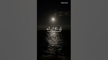 قال لا تخافا | سورة طه | للقارئ محمد ديبيروف