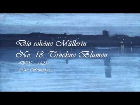 Franz Schubert ~ Complete Lieder {c. 1810-28} ~ Selections