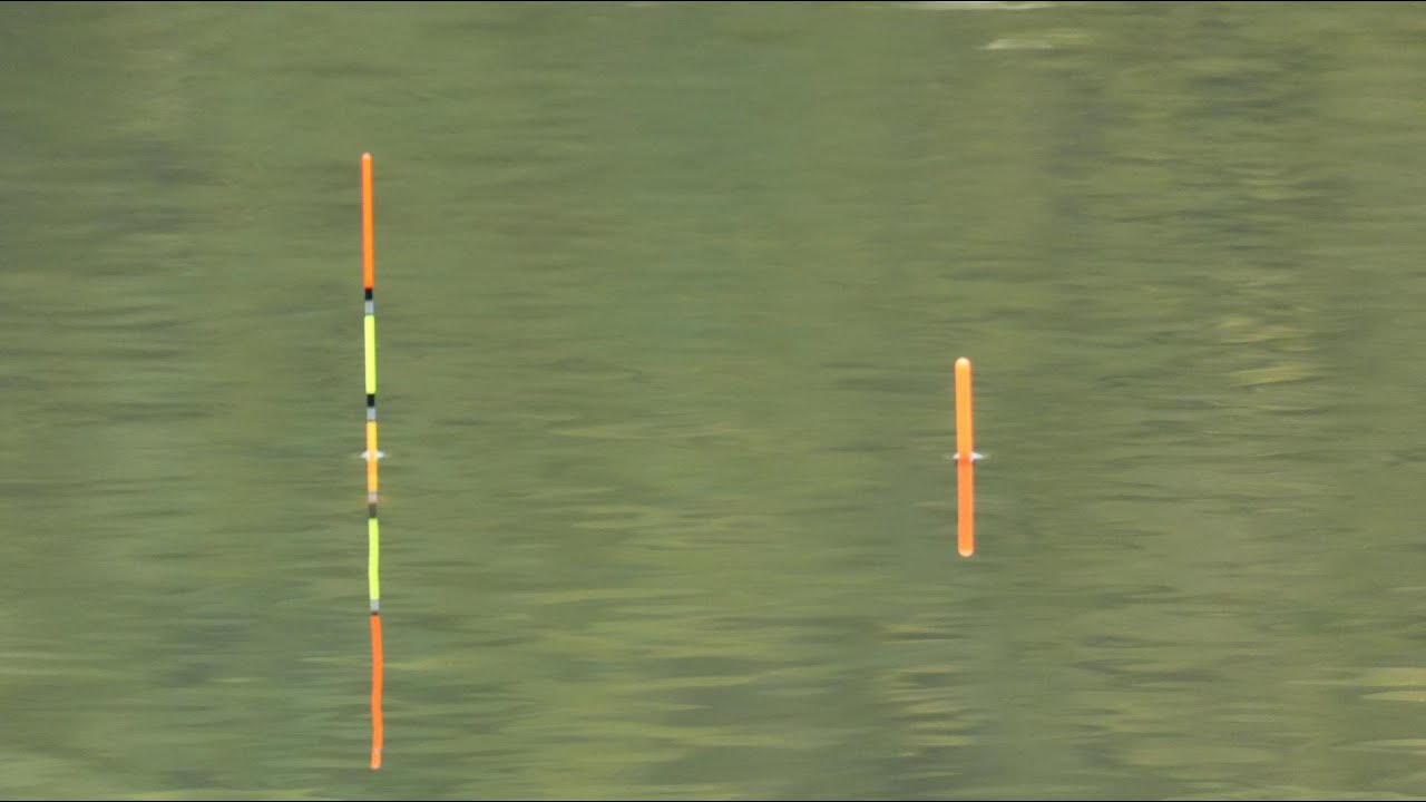 поплавочная рыбалка - карась, карп, лещ с поплавком в старом русле кори