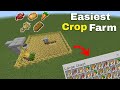 Easiest crop  bread farm tutorial in minecraft 120 bedrock java