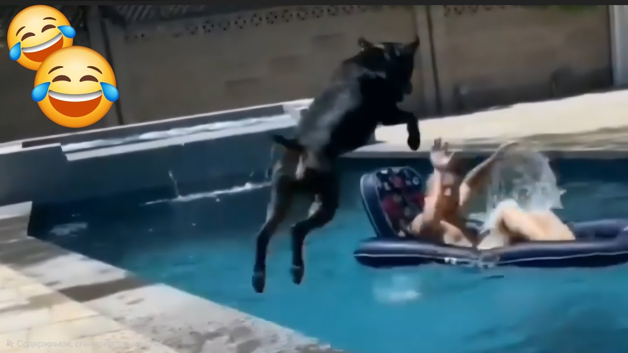 Funny cat and dog videos 2026. 😂 Try Not laugh. 