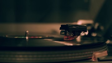 For you all - The Fog Project