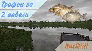 :   4.   2 .