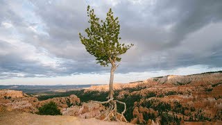 How To Make Your Landscape Shots Unique