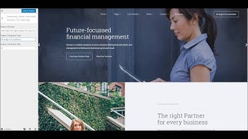 Partner WordPress Theme - Theme Options Overview