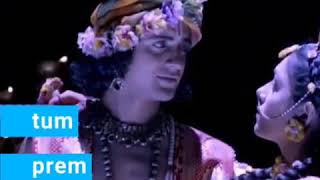 Tum prem ho tum preeth ho meri bansuri Ka geet ho || radha krishana love status || parasmalseervi