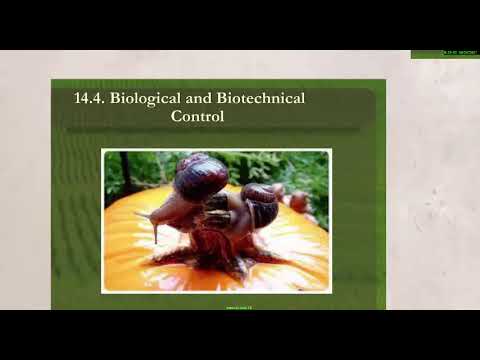 Video: Biologiske plantebeskyttelsesmidler: typer og metoder