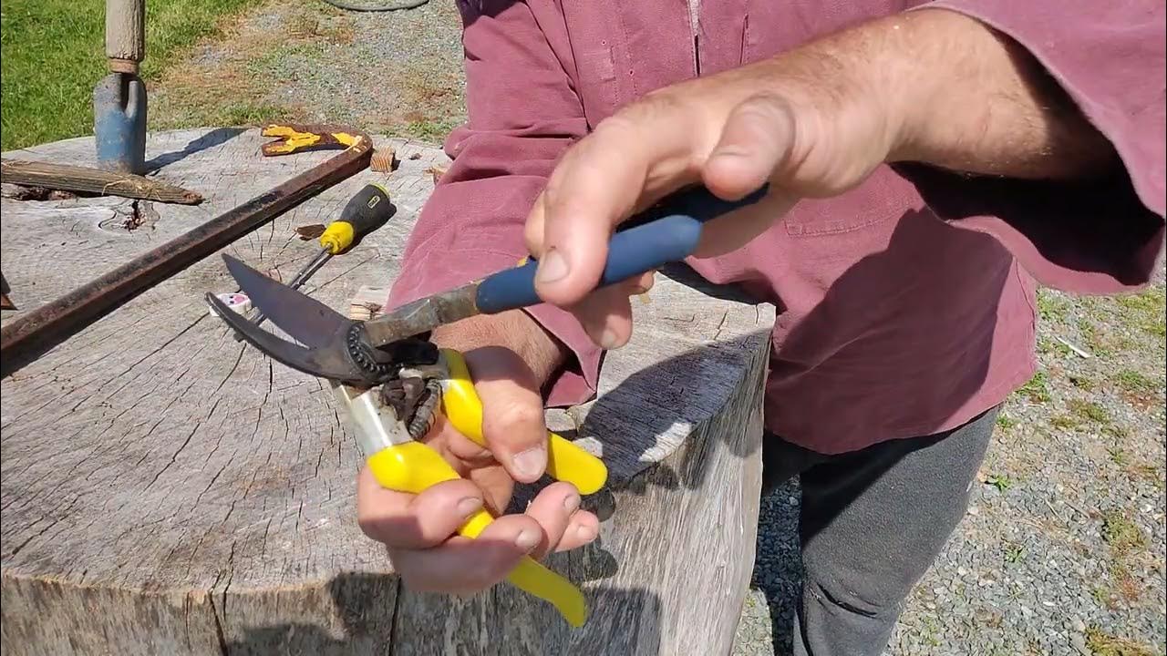 How To Adjust Bypass Pruners Secateurs so to get a perfect cut YouTube