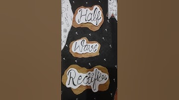 # Half wave Rectifier # class -12 project file# cbse # Boards practical