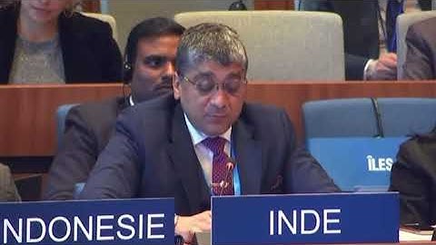 Statement on the UNESCO Framework on Culture And Arts Education