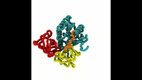 Simulation of Elongation Factor-Tu: Extended Transition