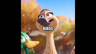 Did You Notice These 3 More Things In The Migration Movie....