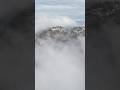 "Wrapped in the magic of a foggy morning, where the world feels softly quiet
