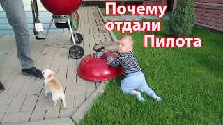 VLOG: Обновки в квартире / Почему отдали Пилота