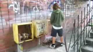 FreeRun Axel Sampler 2008