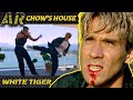 RYAN Confronts CHOW | WHITE TIGER (1996) | Action Martial Arts Clips