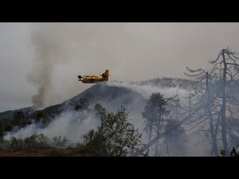 Ελλάδα: Πρωτοφανής οικολογική καταστροφή από τις πυρκαγιές - Μητσοτάκης: «Ζητώ συγγνώμη»…