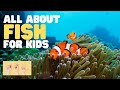 Fish Biology and Characteristics