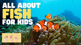 ASL All about Fish for Kids