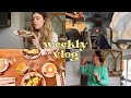 Weekly vlog  changement de programme 